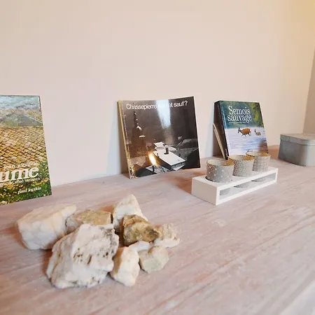 Apartamento Au Pied De La Cuesta